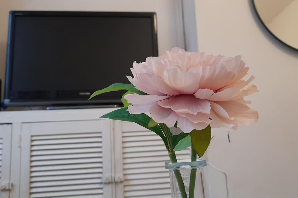 Spacious 4 Bedroom, Free Netflix, Central Location คาร์ดิฟฟ์ ภายนอก รูปภาพ